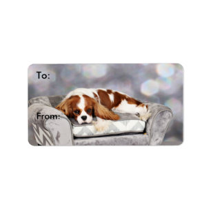 Cavalier King Charles Spaniel - Remington Label