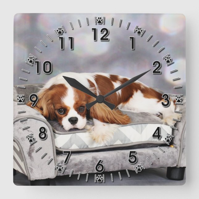 Cavalier King Charles Spaniel - Remington Square Wall Clock (Front)