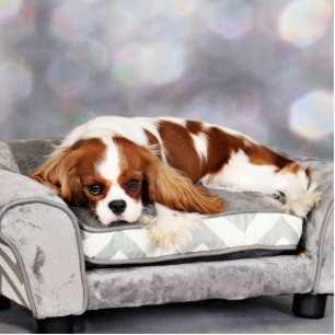 Cavalier King Charles Spaniel - Remington Statuette