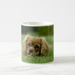 Cavalier King Charles Spaniel Ruby Coffee Mug