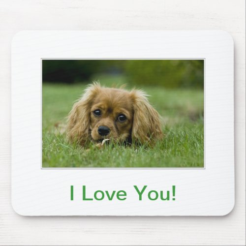 Cavalier King Charles Spaniel Ruby Mouse Pad