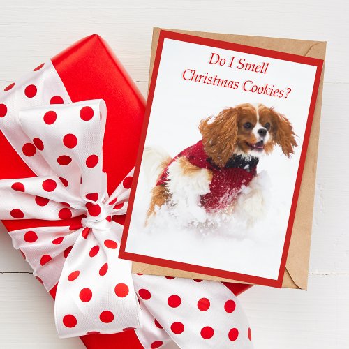 Cavalier King Charles Spaniel Running In Snow Card