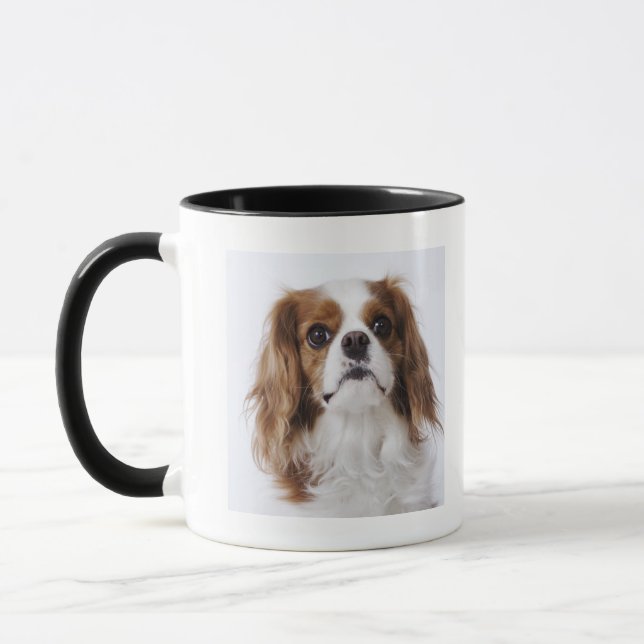 Cavalier King Charles Spaniel sitting in studio Mug (Left)