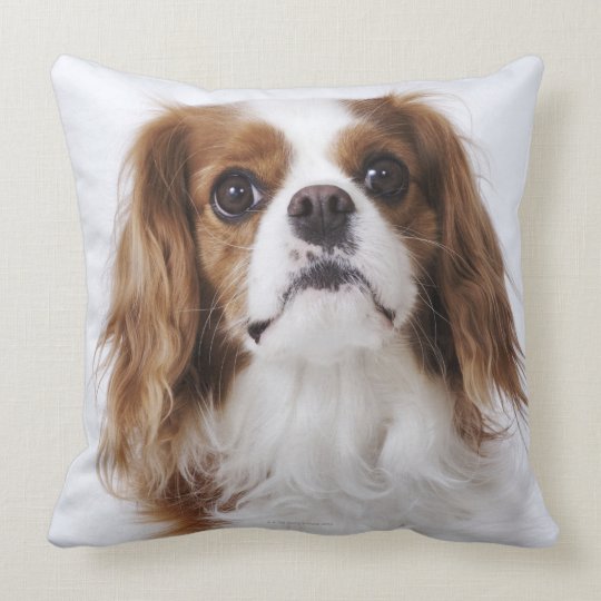 cavalier king charles spaniel pillow