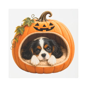 Cavalier King Charles Spaniel Sleeping in Hallowee Metal Print