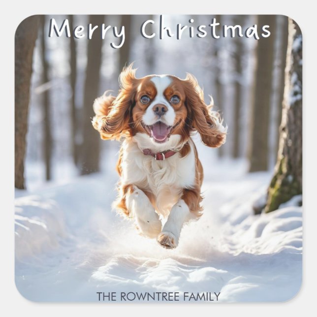 Cavalier King Charles Spaniel Snow Merry Christmas Square Sticker (Front)