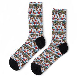 Cavalier King Charles Spaniel Snow with Christmas  Socks