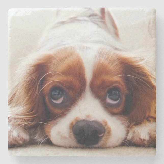 Cavalier King Charles Spaniel Stone Coaster (Front)