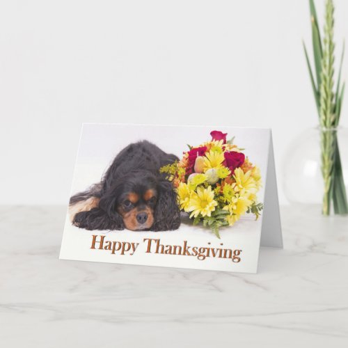 Cavalier King Charles Spaniel Thanksgiving Card