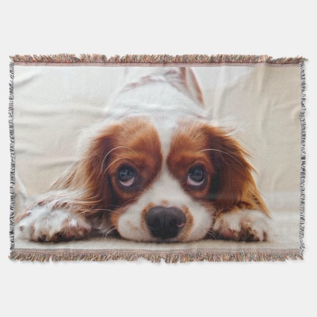 Cavalier King Charles Spaniel Throw Blanket (Front)