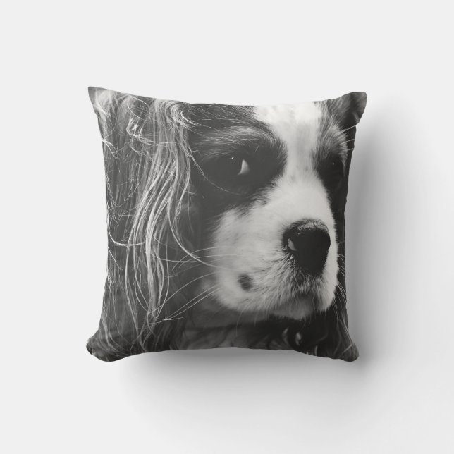 Cavalier King Charles Spaniel Throw Pillow (Front)