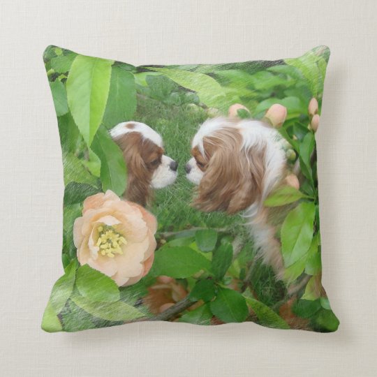 cavalier king charles spaniel pillow