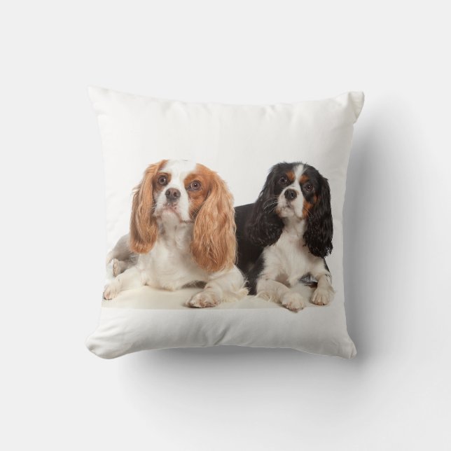 Cavalier King Charles Spaniel Throw Pillow (Front)