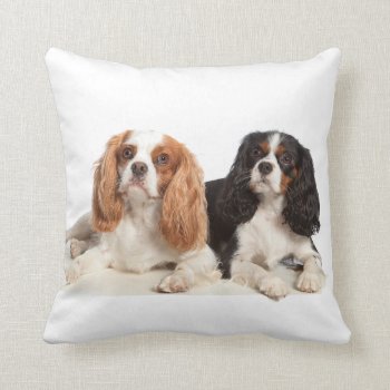 Cavalier King Charles Spaniel Throw Pillow by LATENA at Zazzle