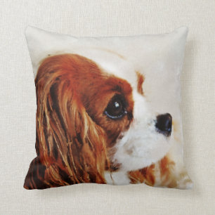 Cavalier King Charles Spaniel Throw Pillow