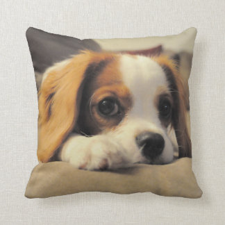 Cavalier King Charles Spaniel Throw Pollow Pillow
