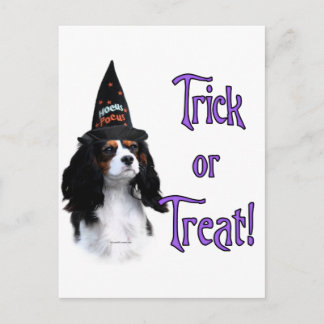 Cavalier King Charles Spaniel Trick Postcard