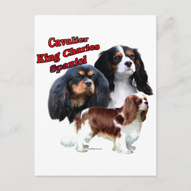 Cavalier King Charles Spaniel Trio 2 Postcard (Front)