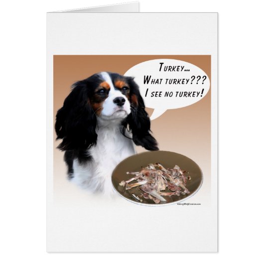 Cavalier King Charles Spaniel Turkey Cards (Front)