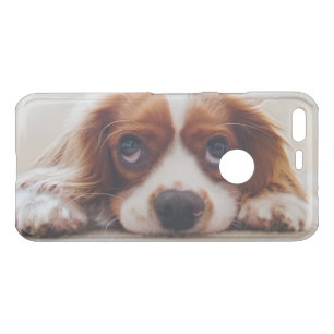 Cavalier King Charles Spaniel Uncommon Google Pixel Case