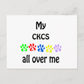Cavalier King Charles Spaniel Walks Design Postcard