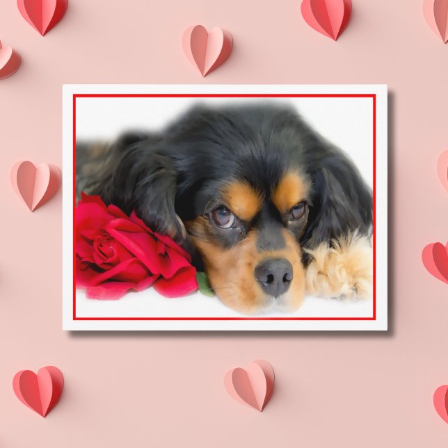 Cavalier King Charles Spaniel With A Rose Postcard (Creator Uploaded)