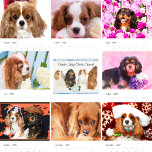 Cavalier King Charles Spaniels Calendar<br><div class="desc">Experience the enchantment of Cavaliers all year long with our delightful calendar. Each month showcases the irresistible charm and playful spirit of these beloved dogs. A perfect gift for Cavalier King Charles Spaniel enthusiasts,  bringing joy and warmth to every day.</div>