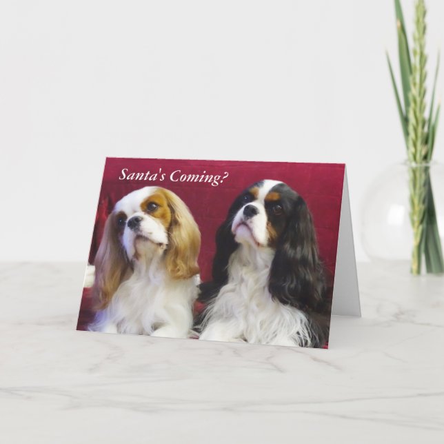 Cavalier King Charles Spaniels Christmas Card (Front)