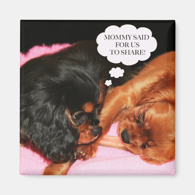 Cavalier King Charles Spaniels Puppies Magnet (Front)