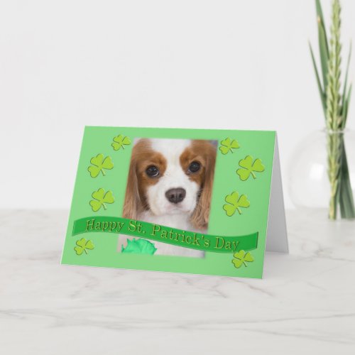 Cavalier King Charles Spaniels St Patricks Day Card