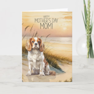 Cavalier King Charles Sunset Beach Mother's Day Holiday Card