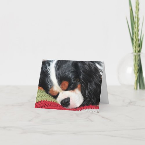 Cavalier King Charles Tri_Color Blank Note Card