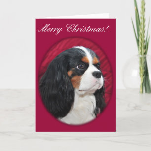 Cavalier King Charles Tri-Color Christmas Card