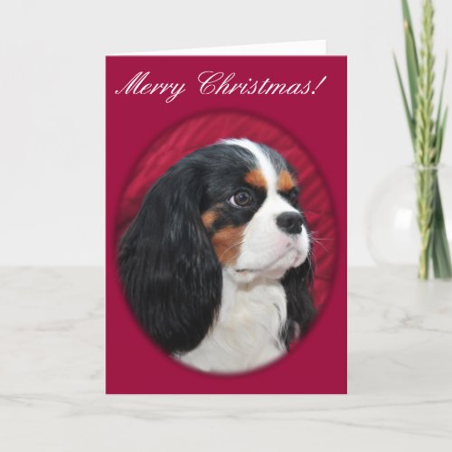 Cavalier King Charles Tri_Color Christmas Card
