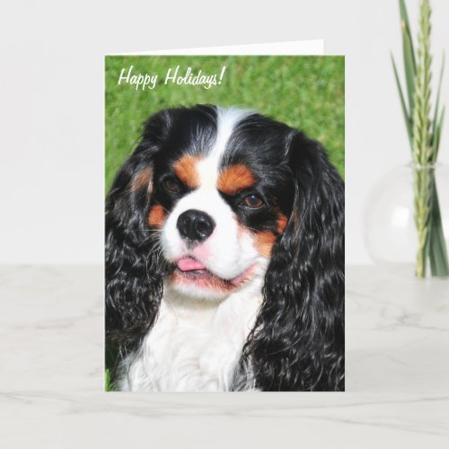 Cavalier King Charles Tri_Color Holiday Card