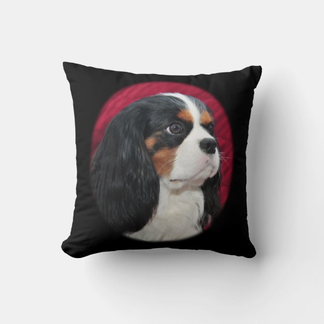 Cavalier King Charles Tri-Color Pillow (Front)