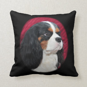 Cavalier King Charles Tri-Color Pillow