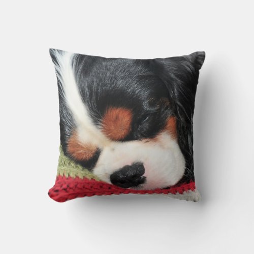 Cavalier King Charles Tri_Color Pillow