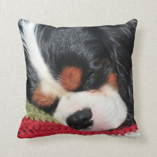 Cavalier King Charles Tri-Color Pillow