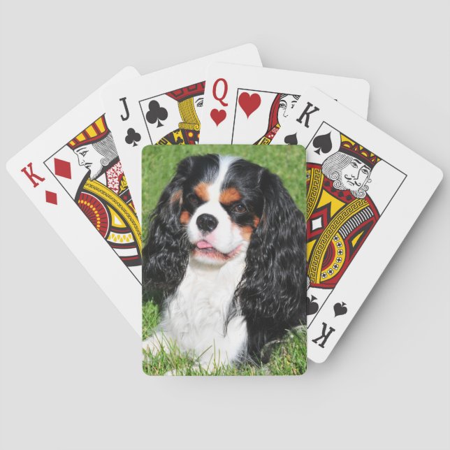 Cavalier King Charles Tri-Color Playing Cards (Back)