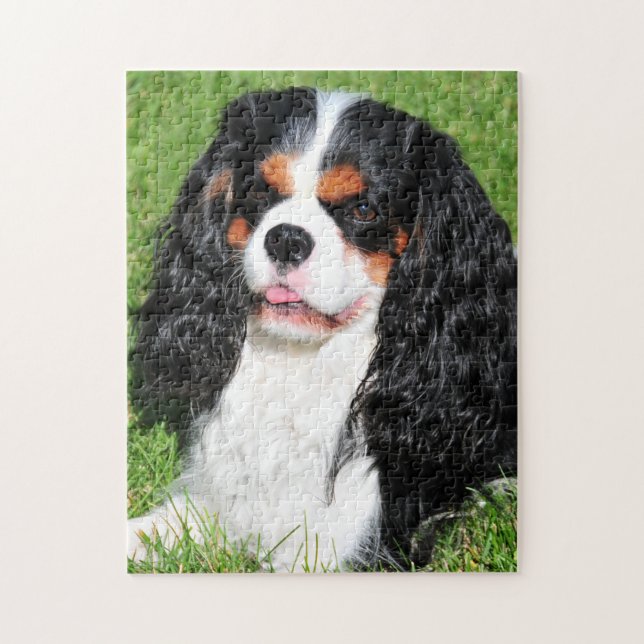 Cavalier King Charles Tri-Color Puzzle (Vertical)
