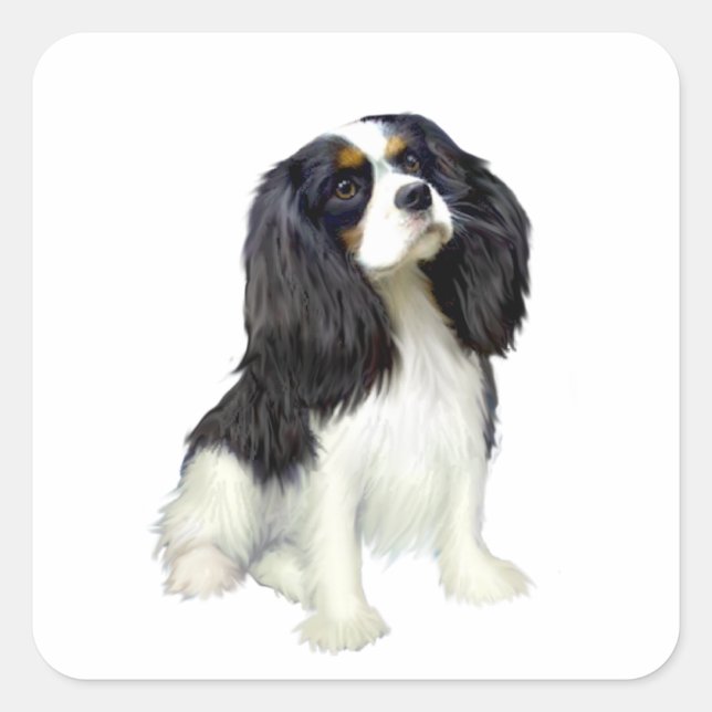Cavalier King Charles - Tri Colored Square Sticker (Front)