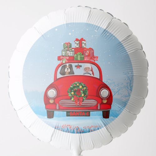 Cavalier King Dog In Car With Santa Claus  Balloon