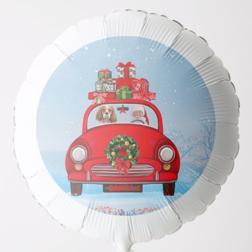 Cavalier King Dog In Car With Santa Claus  Balloon