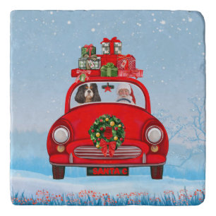Cavalier King Dog In Car With Santa Claus Trivet