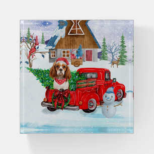 Cavalier King Dog In Christmas Delivery Truck Snow Paperweight