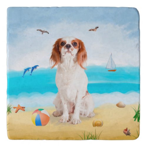 Cavalier King Dog on Beach Trivet