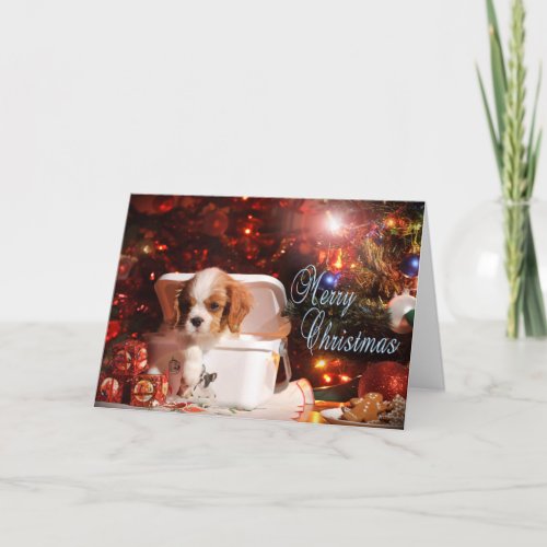 Cavalier puppy Christmas Card