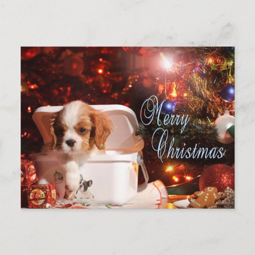 Cavalier puppy Christmas Card