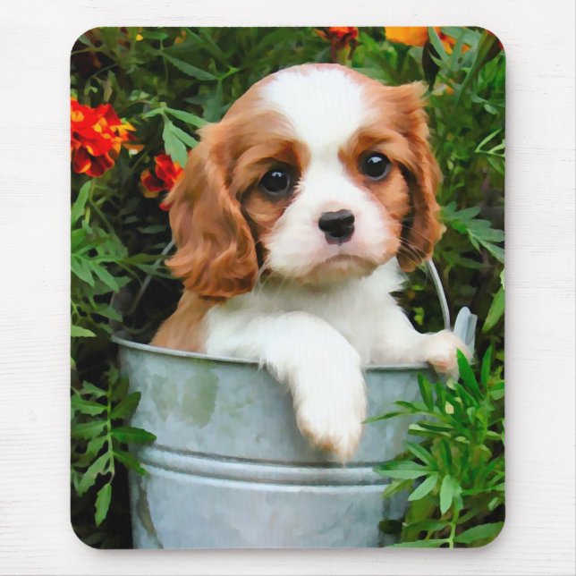 Cavalier Puppy Mousepad (Front)